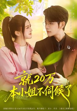 就20万！本小姐不伺候了封面图