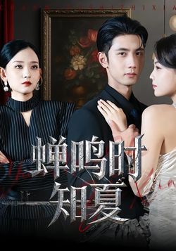 蝉鸣时知夏封面图