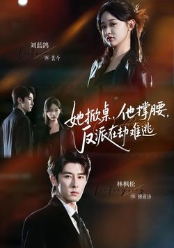 她掀桌，他撑腰，反派在劫难逃封面图