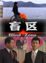 盲区封面图