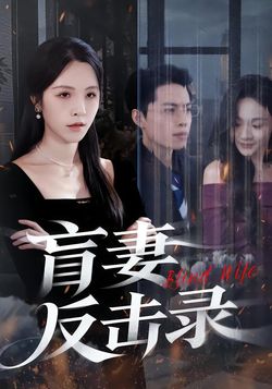 盲妻反击录封面图