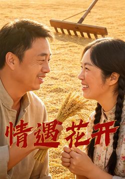 情遇花开封面图