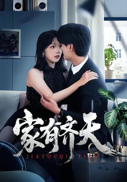 家有齐天封面图