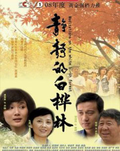 静静的白桦林封面图