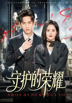 守护的荣耀封面图