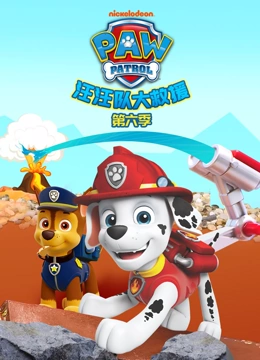 汪汪队大救援6