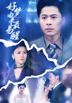 好梦由来最易醒封面图