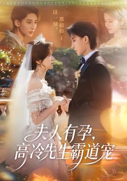 夫人有孕，高冷先生霸道宠封面图
