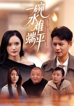 一碗水难端平封面图