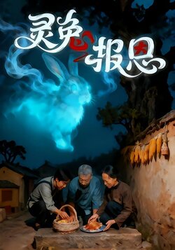 灵兔报恩封面图