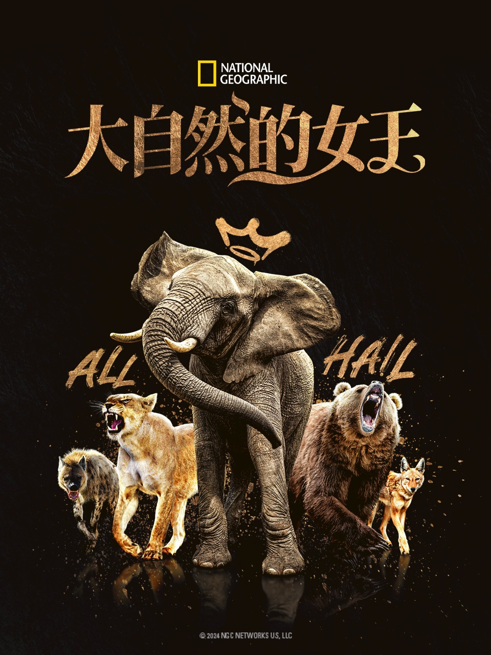 大自然的女王封面图