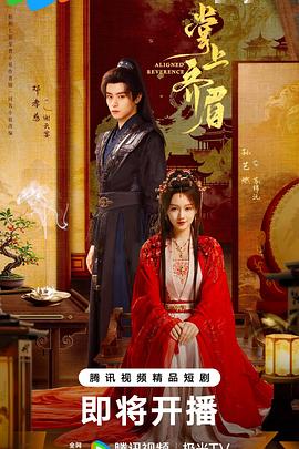 掌上齐眉封面图