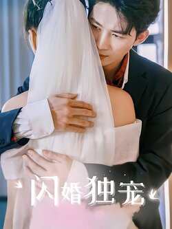 闪婚独宠封面图