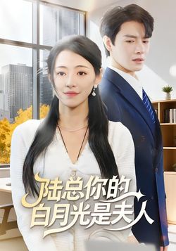 陆总你的白月光是夫人封面图