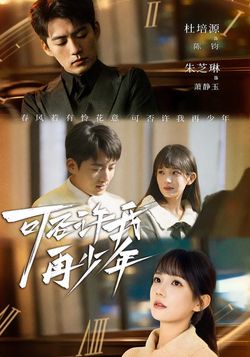 可否许我再少年封面图