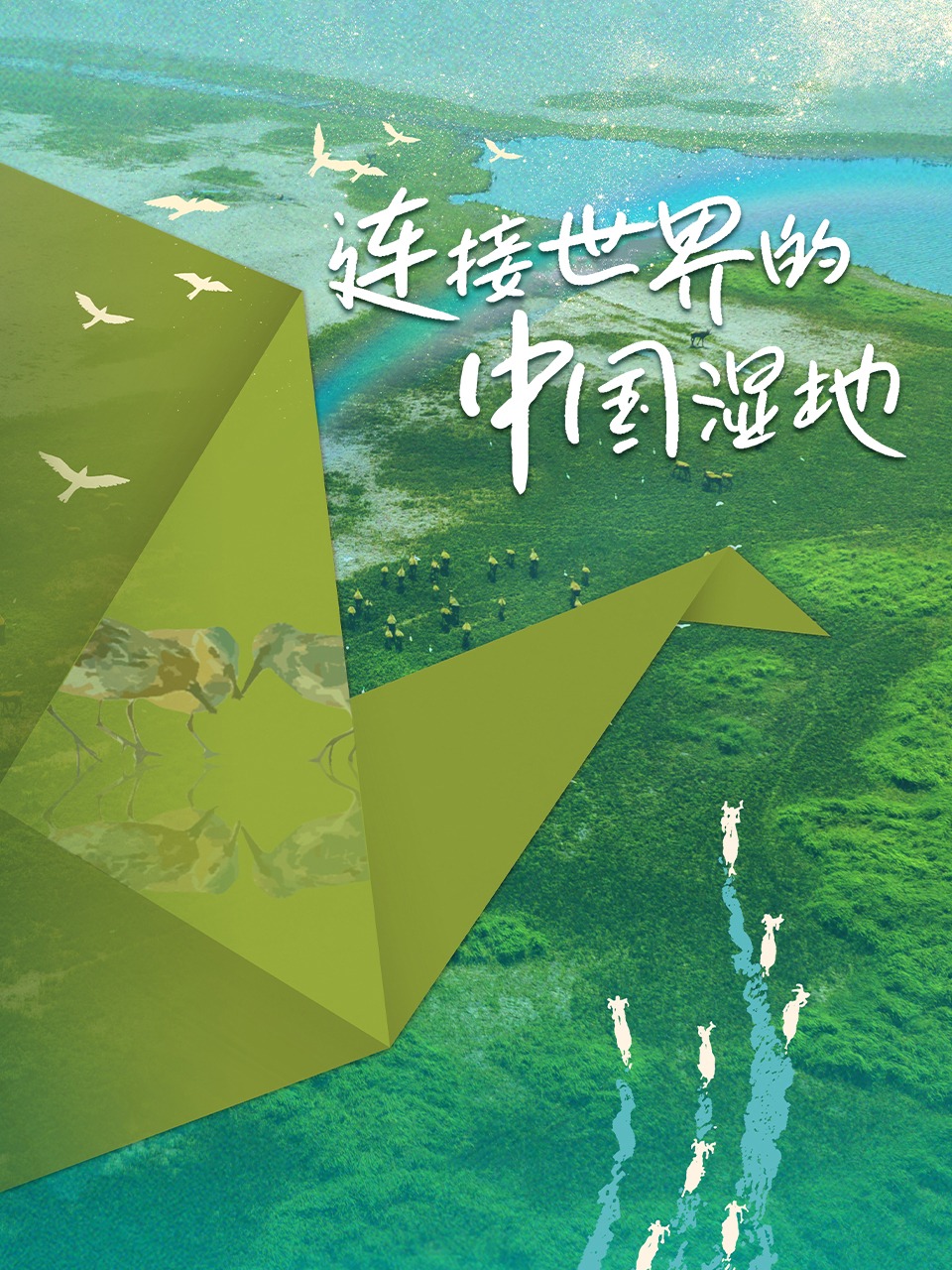连接世界的中国湿地封面图