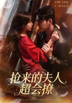 抢来的夫人超会撩