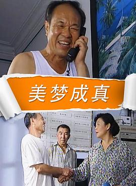 美梦成真2009