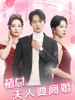 褚总，夫人要离婚