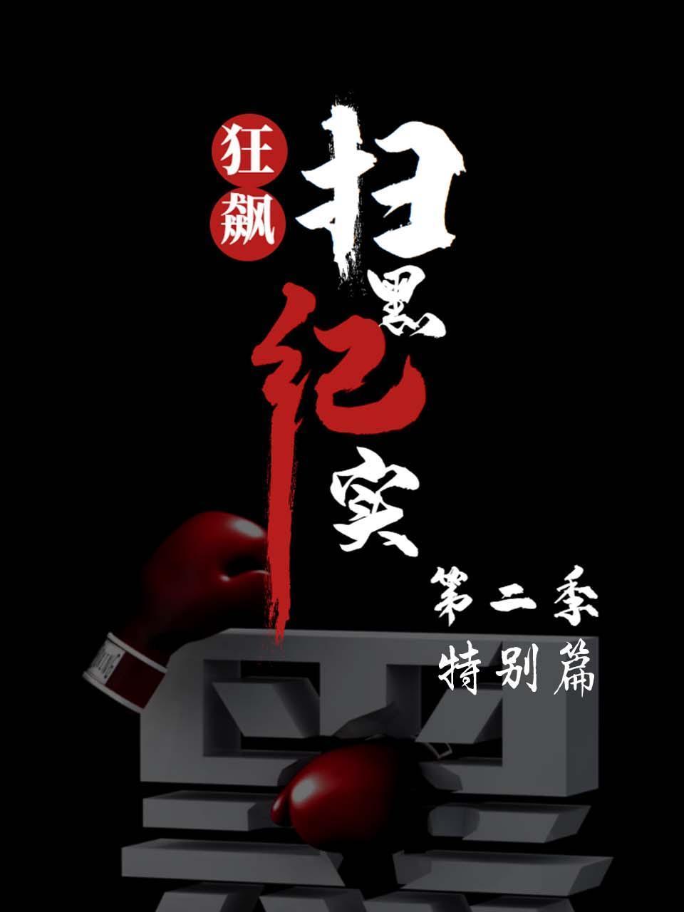 狂飙-扫黑纪实第二季 特别篇