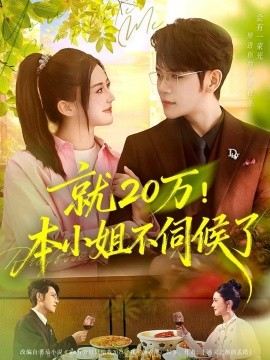 就二十万！本小姐不伺候了