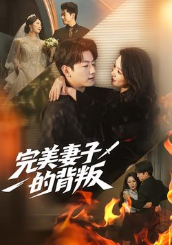 完美妻子的背叛