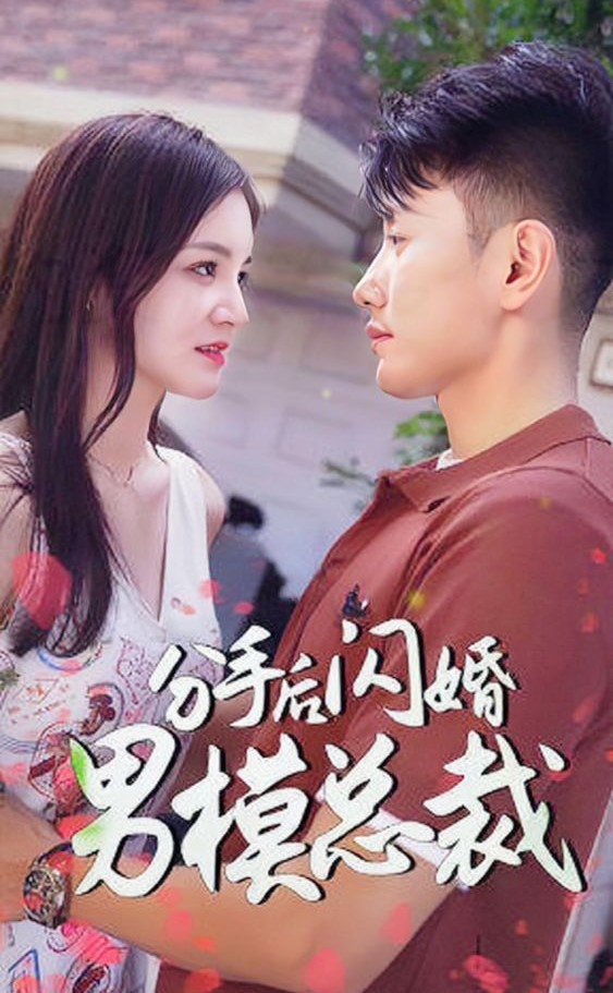 分手后闪婚了男模总裁