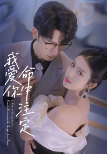 我爱你命中注定