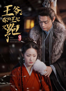 王爷你的王妃又跑了