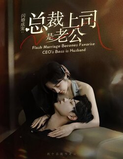 闪婚成宠：总裁上司是老公