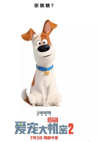 爱宠大机密2