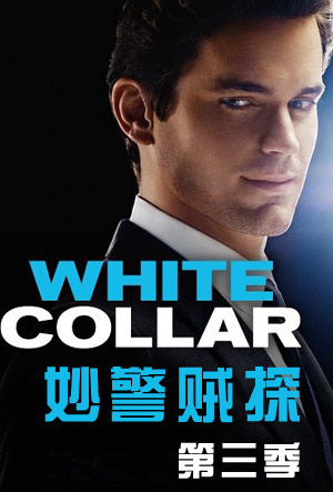 妙警贼探第三季