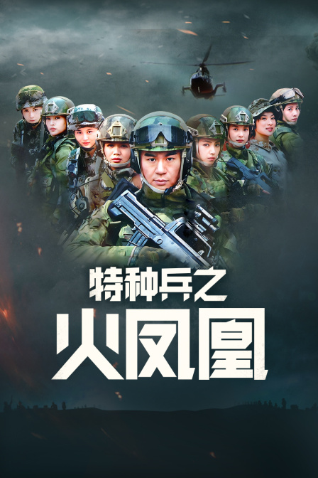 特种兵之火凤凰 DVD版