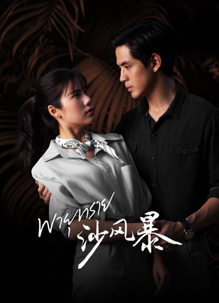 沙风暴 普通话