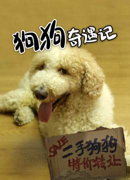 狗狗奇遇记