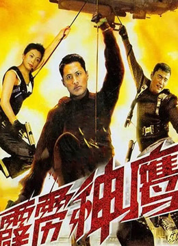 霹雳神鹰（1996）
