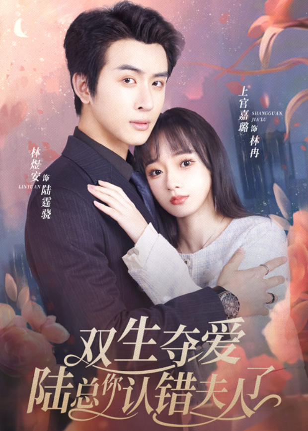 双生夺爱陆总你认错夫人了