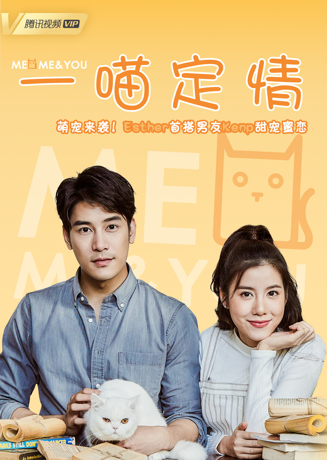 一喵定情 普通话