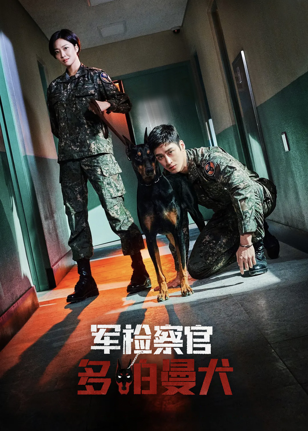 军检察官多伯曼犬