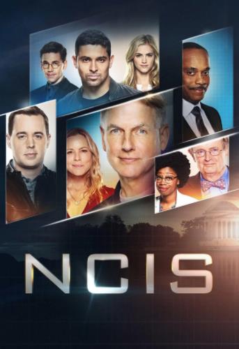 海军罪案调查处第十七季