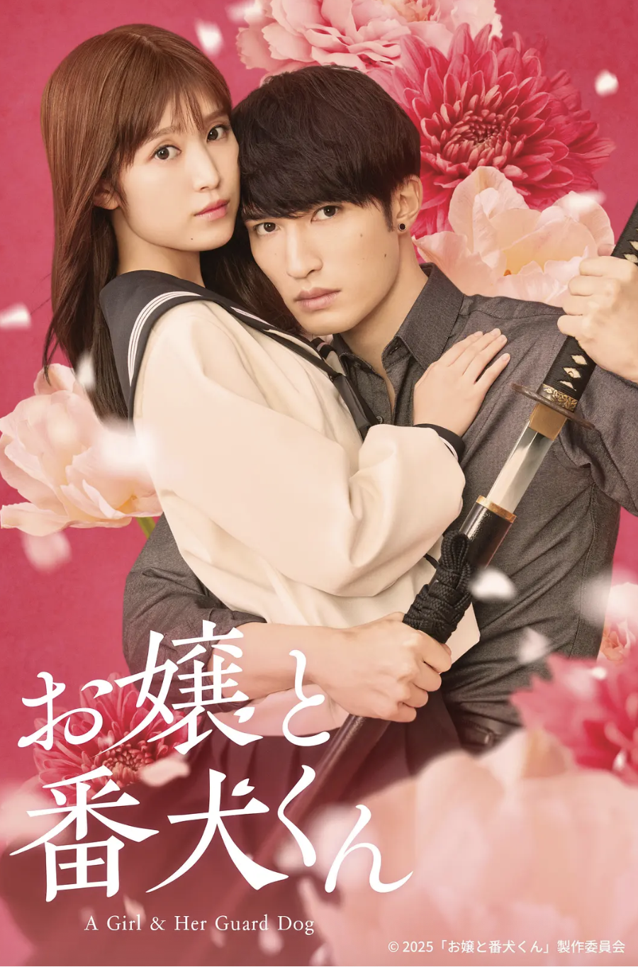 大小姐和看门犬