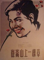 昆仑山上一棵草