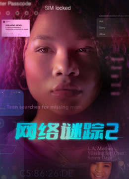 网络谜踪2 普通话