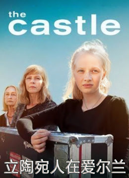 立陶宛人在爱尔兰