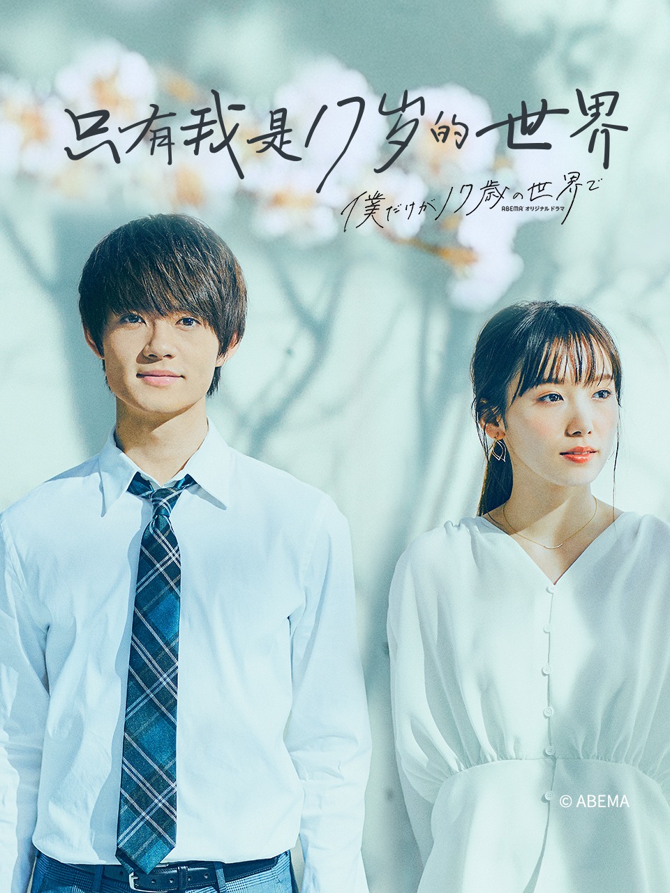 只有我是17岁的世界