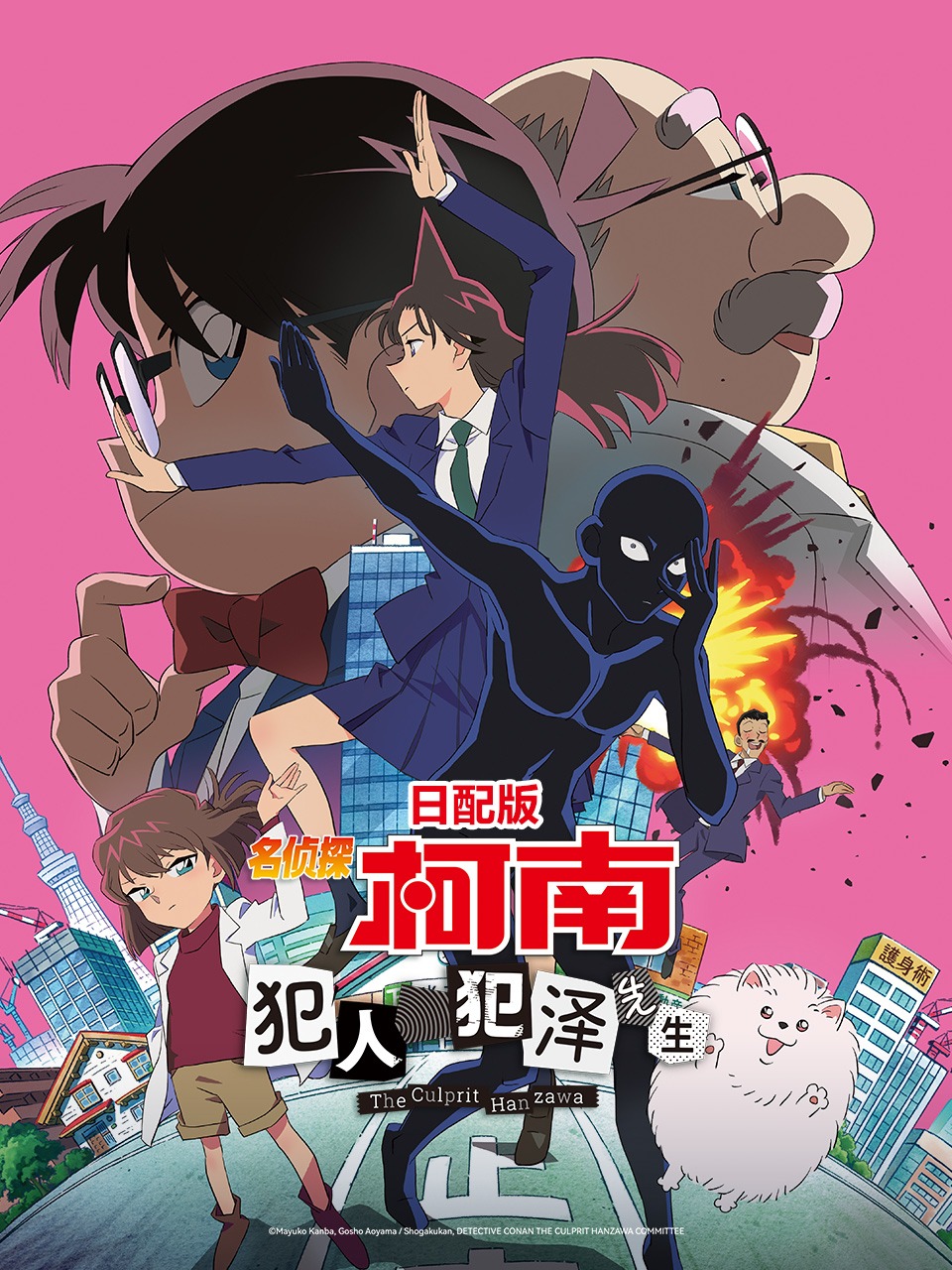 名侦探柯南：犯人犯泽先生 日配版