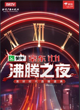 京东双11沸腾之夜