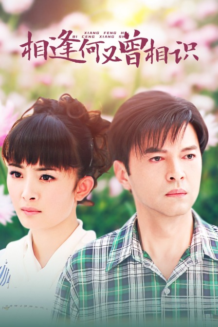 相逢何必曾相识