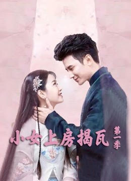 小女上房揭瓦 第一季