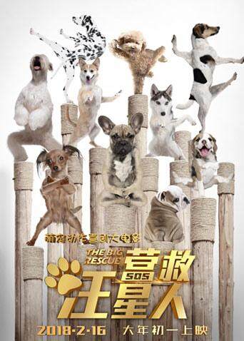 营救汪星人